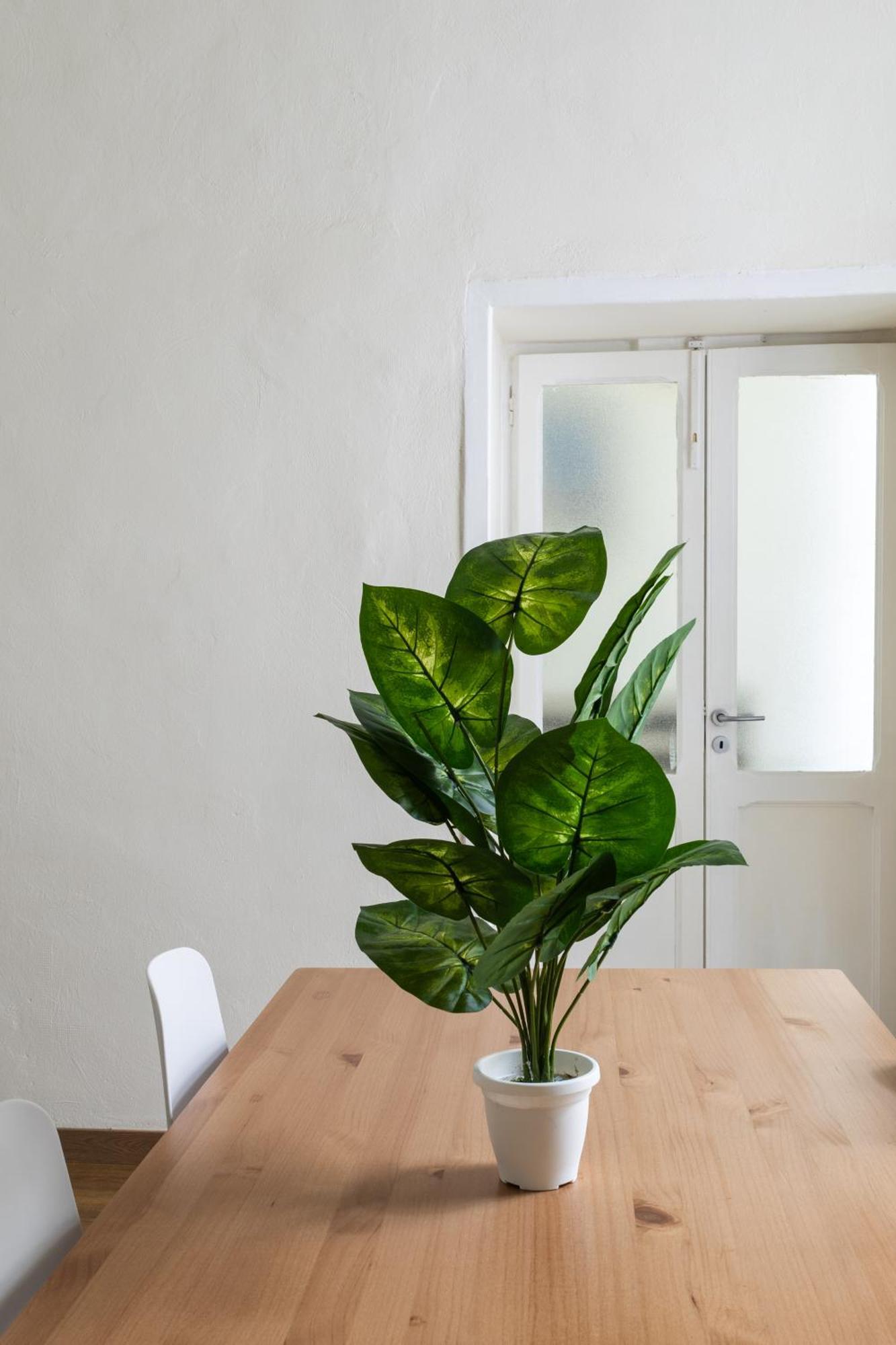 Cozy Historical Flat Napoli Lägenhet Exteriör bild